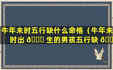 牛年未时五行缺什么命格（牛年未时出 🐟 生的男孩五行缺 💮 什么）